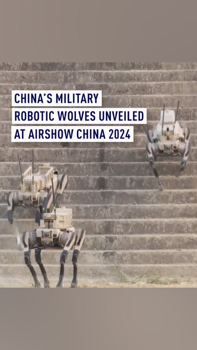 China's military robotic wolves unveiled at Airshow China 2024 - video ...