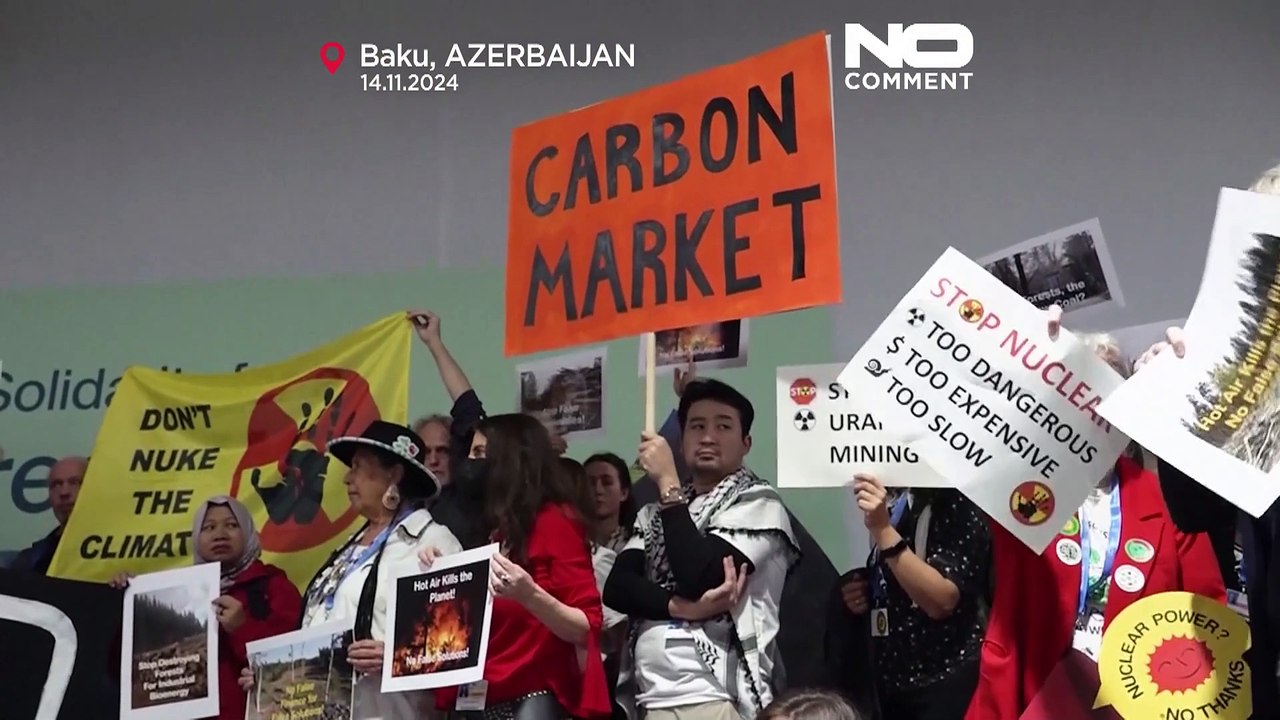 COP29 carbon credit debate sparks backlash from activists