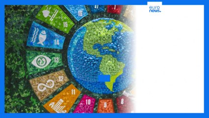 Latest news bulletin | November 14th – Evening