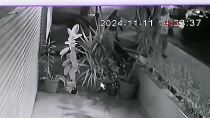 Güpegündüz çiçek hırsızlığı kamerada
