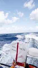 Vendée Globe 2024 - Bonne humeur à bord de l'IMOCA Nexans - Wewise ! -  Fabrice Amedeo