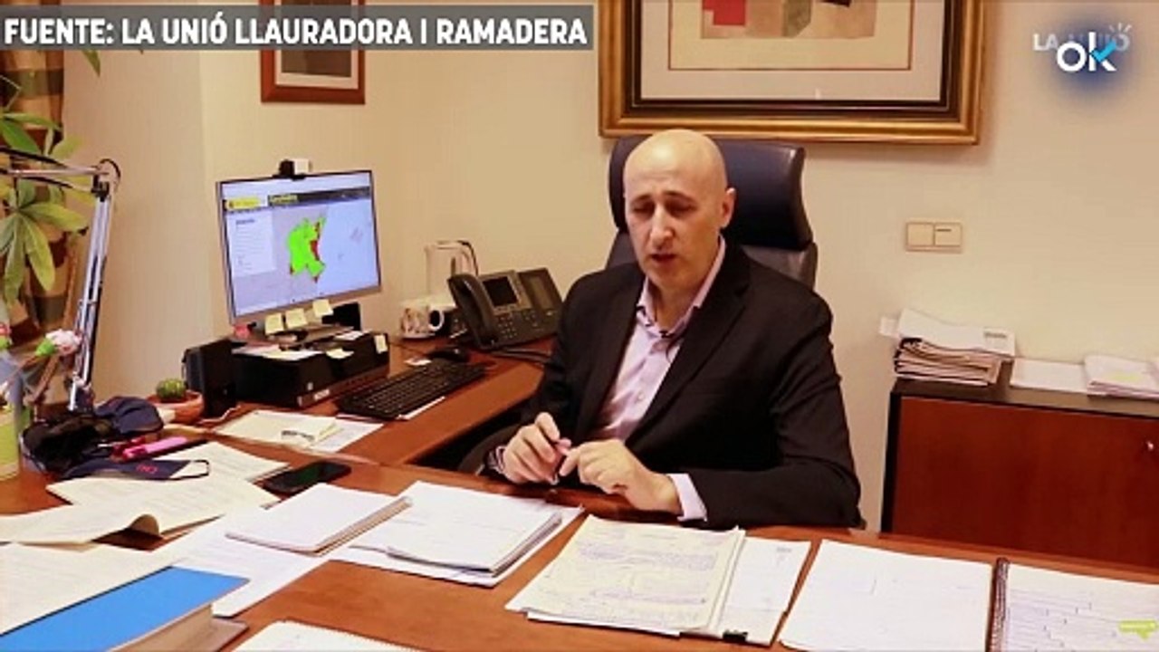 Así defendió el responsable del Júcar la vegetación en ríos y barrancos "para mitigar las inundaciones"