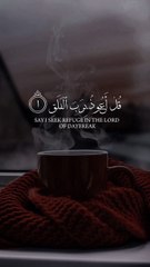 Beautiful Islamic video🌹 #islamicquotes #islamics