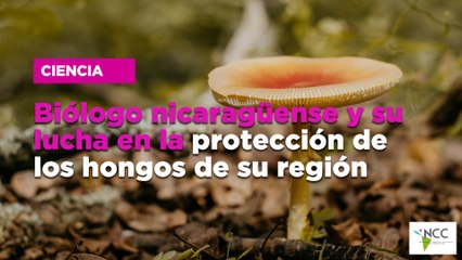 Biólogo nicaragüense y su lucha en la protección de los hongos de su región