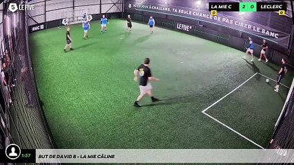 But de David B - La Mie CÂline