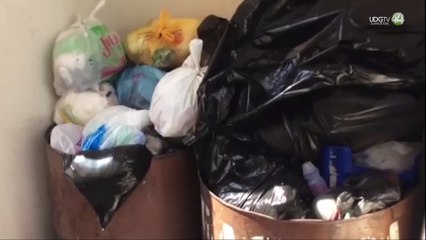 ndispensable compromiso municipal para recolectar la basura eficientemente :investigador