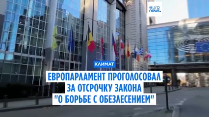 Европарламент проголосовал за годовую отсрочку принятия закона "О борьбе с обезлесением"