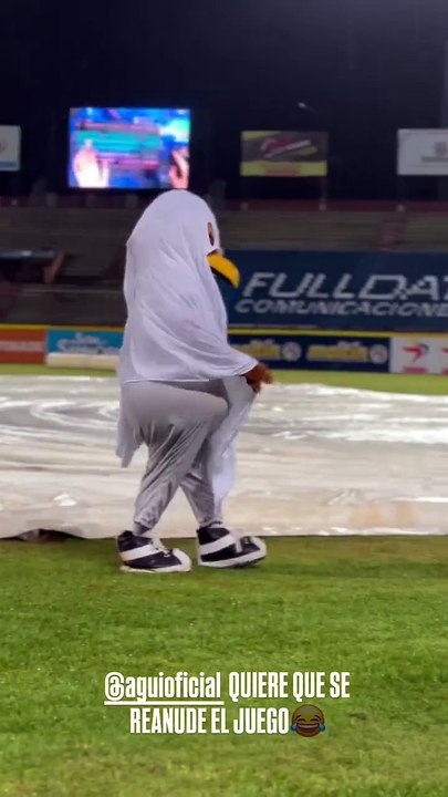LVBP: el estadio Luis Aparicio "El Grande" se convierte en piscina (+Video)