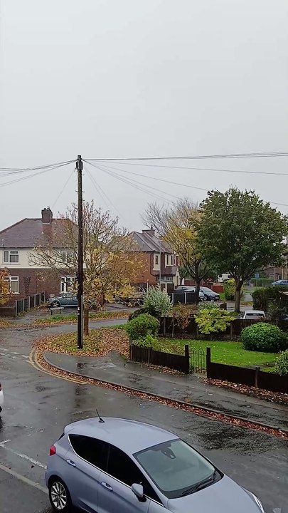 Rain Storm