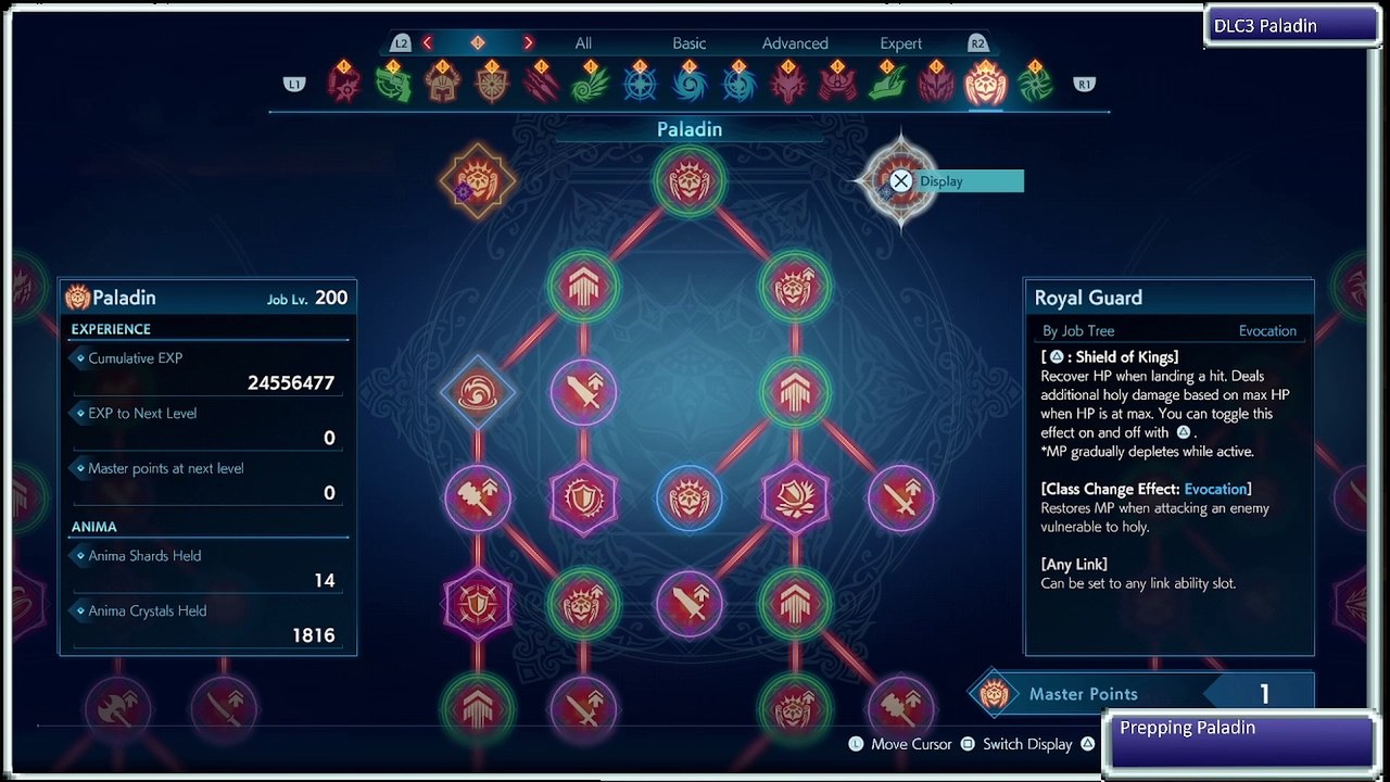 video response Paladin shorter version for ChampionBackground
