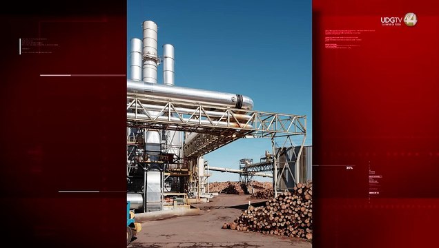 MUSA despide el 2024 con cuatro exposiciones que exploran cultura, diseño y naturaleza