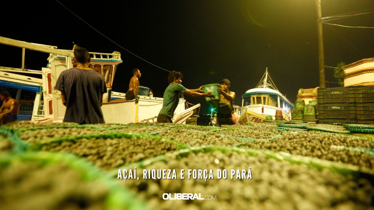 Açaí, riqueza e força do Pará