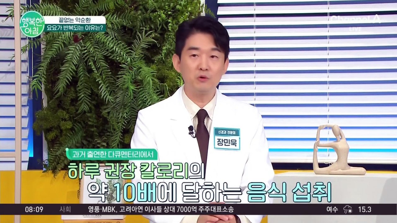 어렵게 살 빼고 다시 찌는 악순환♨ 다이어터 괴롭히는 요요 현상, 왜 반복될까요? #요요현상