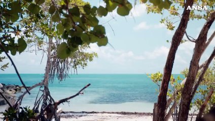 Con "Refresh and Reveal" il calendario Pirelli torna al nudo