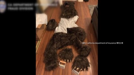 [나우쇼츠] 곰이 되지 못한 인간...허위 보험금 수령 발각 / YTN