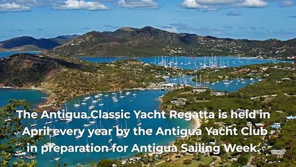 Top Yacht Racing Events in the World - TripAdvisor and Booking