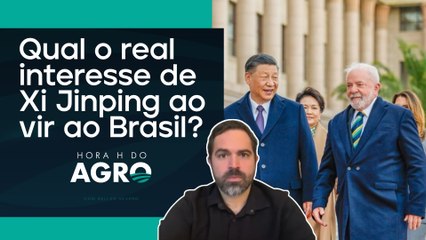 Brasil e China: parceria econômica ou mais dependência em jogo? | HORA H DO AGRO