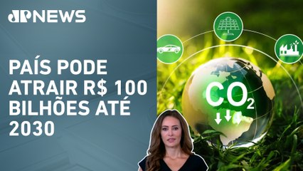 Senado aprova regulamentação do mercado de carbono; Patrícia Costa analisa