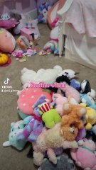 Plushies when: