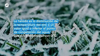 Heladas: Un fenómeno muy temido en el campo