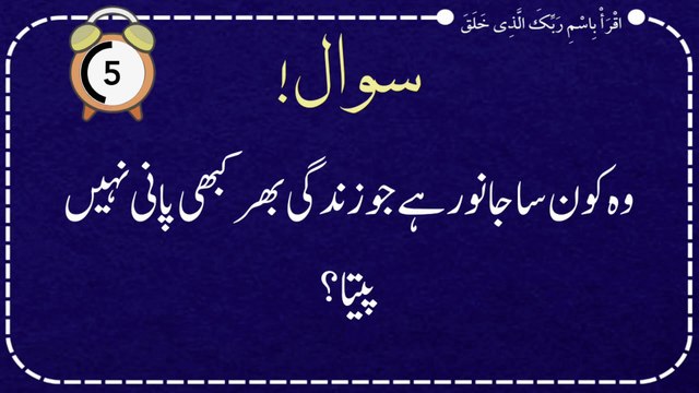 Top Islamic Questions Answers - Urdu Quiz - Islamic Paheliyan - Islami Sawal Jawab - Islamic Quiz