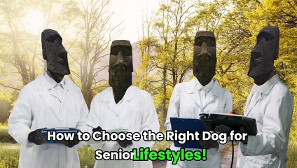 How to Choose the Right Dog for Senior Lifestyles!