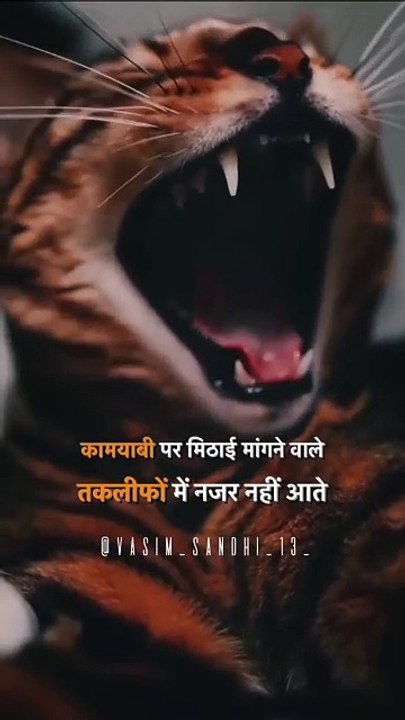 #Attitude#Motivation