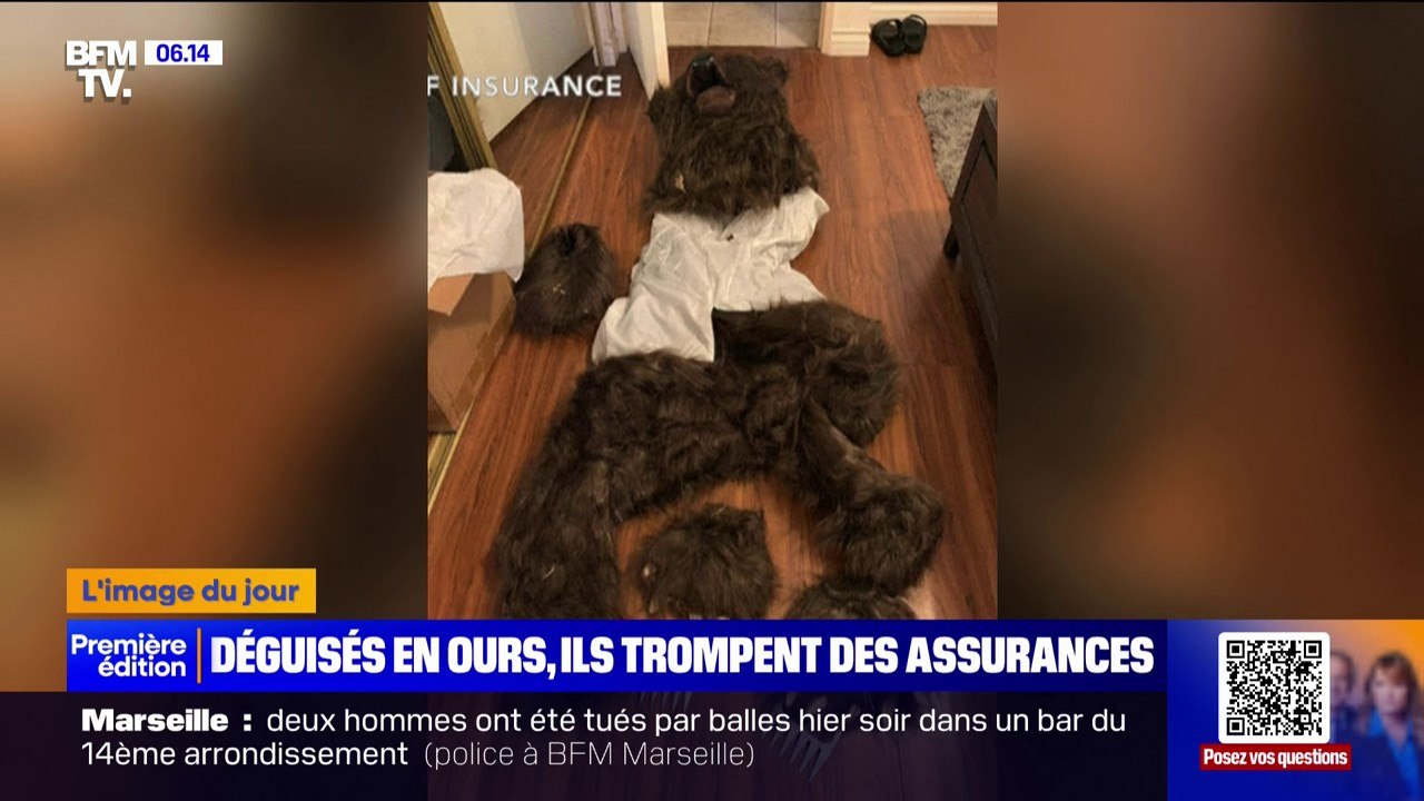 Déguisés en ours, des propriétaires de voitures de luxe tentent d'arnaquer leur assurance