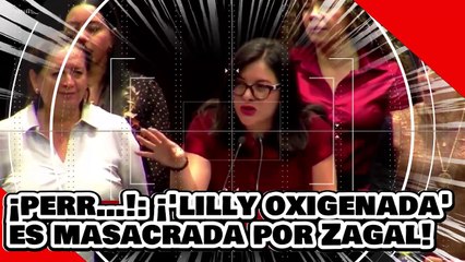 ¡oxigenada perr…! ¡la lilly téllez oxigenada es masacrada por la cátedra de la diputada Zagal!