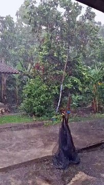hujan air
