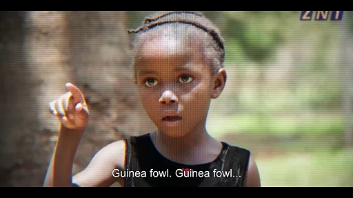 Becoming a Guinea Fowl: Official Trailer 1 (2024 Movie) Starring Susan Chardy and Roy Chisha