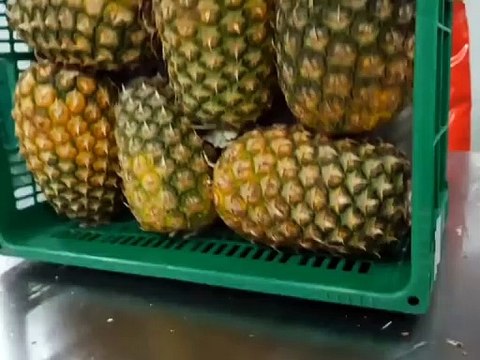 An Automated Peeling, Slicing And Packaging Of Pineapple #shorts #shortvideo #video #virals #videoviral #innovationhub