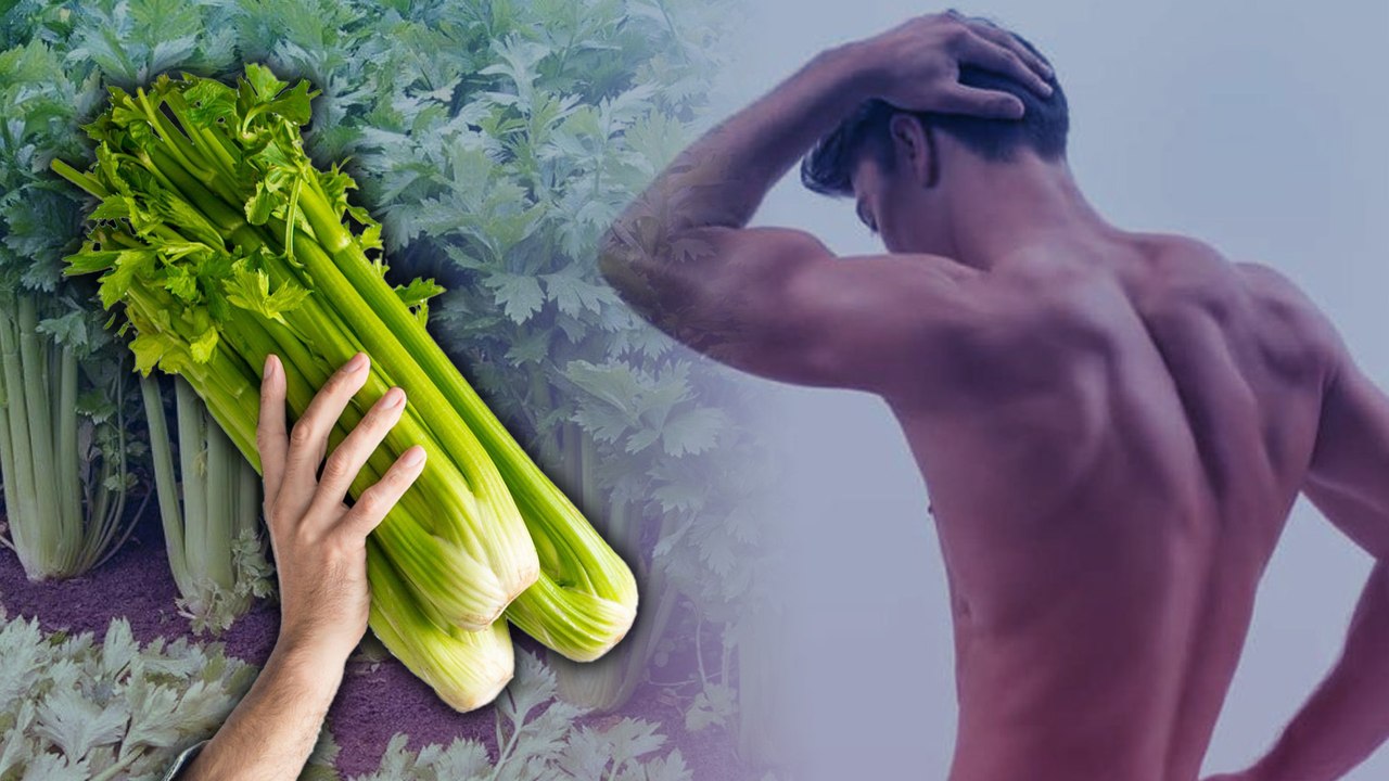 Cần tây có tốt cho sức khỏe nam giới?