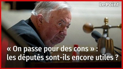 « On passe pour des cons » : les députés sont-ils encore utiles ?