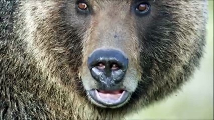 😂 Hilarious Short Videos & Fun Games to Brighten Your Day!