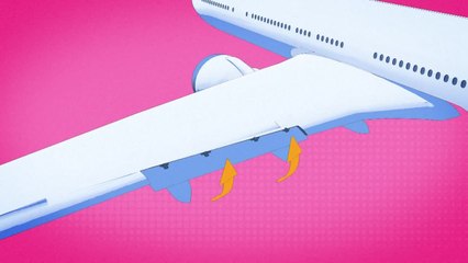 L'éco-pilotage: comment économiser du carburant en vol