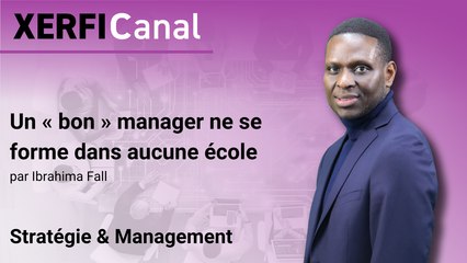 Un « bon » manager ne se forme dans aucune école [Ibrahima Fall]