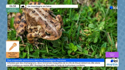 15/11/2024 - ICI Matin France Bleu Isère en vidéo