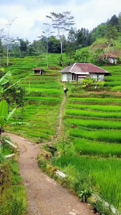 Pemandangan Yang Indah 4