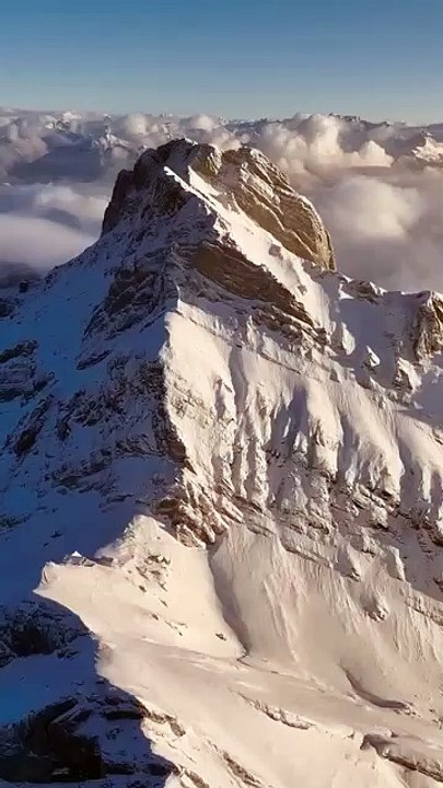 Investment in Harmony and Luxury