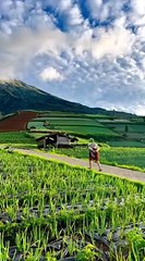 Pemandangan Yang Indah 5