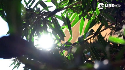 A tu per tu con Anna De Simone e Gianluca Salvemini, Italian Hotel Group