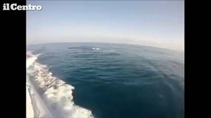 Incontro con 2balenottere al largo della Costa dei trabocchi