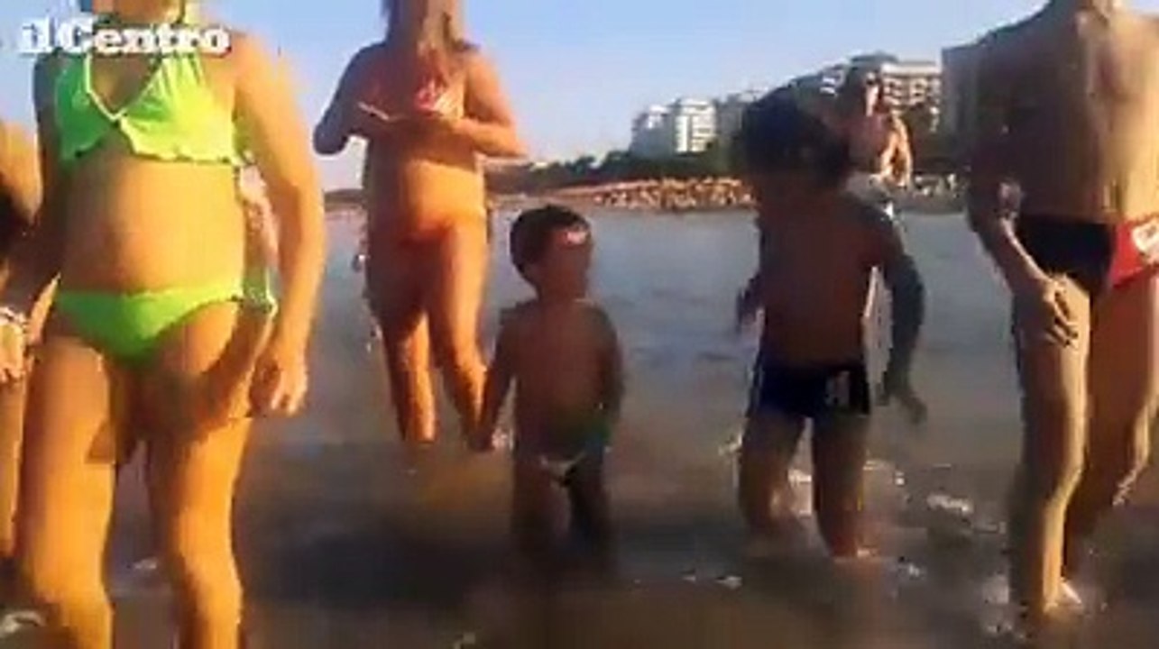Un fenicottero passeggia tra i bagnanti sulla spiaggia di Montesilvano