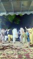 Attan Dance Pashtoon Culture 😍❤️