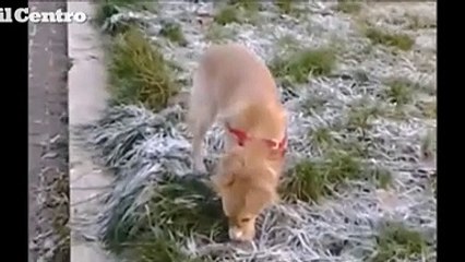 Il ricordo di Collemaggio: Questo ? un luogo talmente bello che trasmette pace interiore