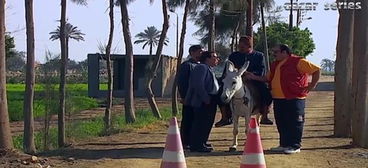 اقوى مقلب فى الدنيا...انت مخالف وعامل عطلة كمان ومعكش خوذة اسحبوه الحمار منه #الحقونا
