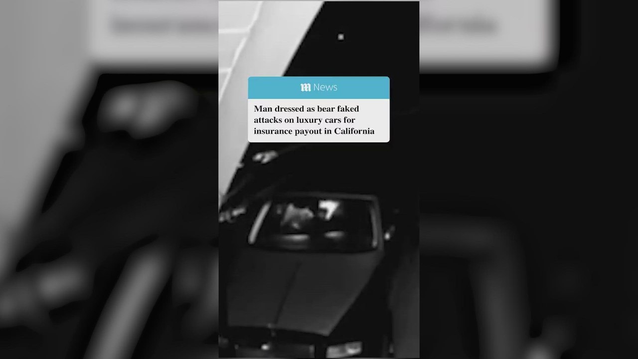 Se disfraza de oso y finge ataques a coches de lujo para cobrar el seguro: la estafa más surrealista es ya una realidad