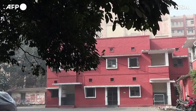 A scuola solo scimmie e scoiattoli, primarie chiuse per inquinamento a New Delhi