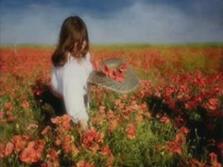 Kasza Tibor-Akarod-e mond